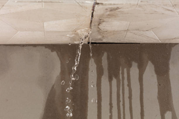 Professional Water Extraction technician working in Jerome, MI